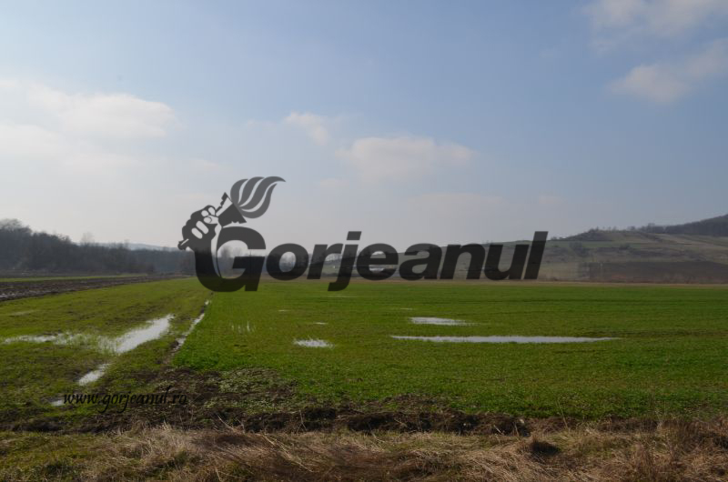 55 de gorjeni şi-au depus cu penalităţi cererile unice de plată, la APIA Gorj