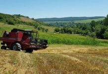 AFIR a publicat versiunile finale ale Ghidului solicitantului pentru investiții agricole finanțate prin PNDR 2020