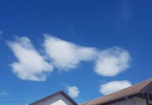 Funcționarii Primăriei Scoarța se mută în casă nouă!