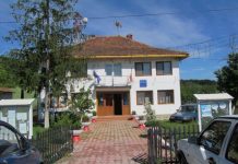 Doi consilieri liberali din Berlești, cu dosar penal pentru fals în declarații!