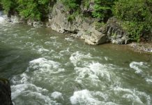 Ecologiștii, bucuroși că Jiul revine în matca lui