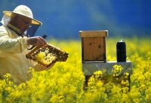 Ultima zi pentru depunerea cererilor spre obţinerea fondurilor din PNA