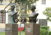 Busturile soților Tătărăscu, mutate de la Târgu Jiu!