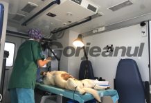 Acțiune de sterilizare gratuită a câinilor din Rânca! Semi-eșec previzibil!