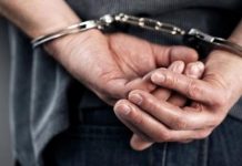 Un tânăr din Harghita a făcut prăpăd în Gorj