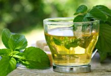 Plante medicinale care te răcoresc pe timp canicular!