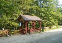 Prin Ţara Jiului de Sus, În lumea „Apei Vi”