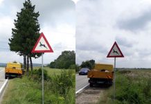 40 de noi indicatoare, montate pe drumurile naţionale din judeţ