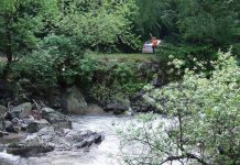 ÎN VREME “DE CUPTOR”, – Pe Șuşiţa Verde