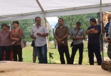 Evadatul din Scriitopia – La Polovragi s-a inaugurat tabăra de sculptură „Simboluri dacice 2018”