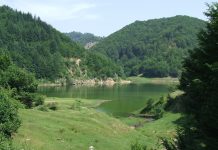 ATITUDINI – „GRATARIADA” 2018