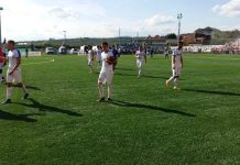 Pandurii, greu de ucis!