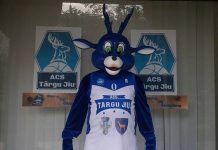 ACS Târgu Jiu, provocare pentru fani