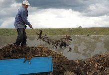 Gunoiul de grajd – o comoară a fermierilor