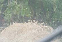 Mii de oameni din Roșia de Amaradia, fără curent electric din cauza furtunii