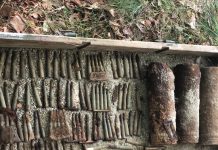 FOTO: Proiectile din Primul Război Mondial, găsite în Gorj