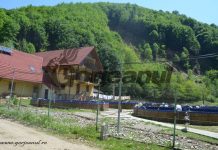 Păstrăvăria Obștei Peștișani a vândut 3,5 tone de pește! Pensiunea Casa Păstrăvarului, deja închiriată pentru Revelion