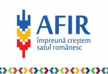 Fonduri europene pentru firme și nu numai