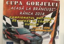 Piloți de top, la Cupa Gorjului ”Acasă la Brâncuși”