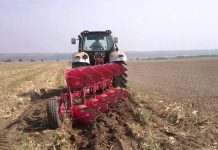 Dacă toamna va fi timpurie și scurtă – Cum punem bazele viitoarelor culturi?