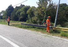 Cea mai alergenică buruiană, cosită de drumarii gorjeni