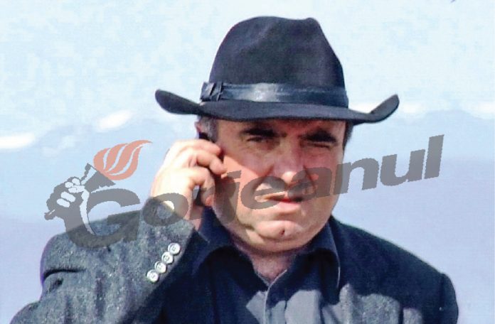 director-DG-porumbel