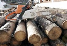 A început sezonul furturilor de lemne