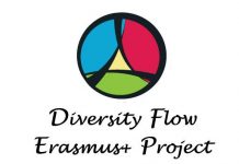 Participanți din cinci țări la a doua activitate a Proiectului Diversity Flow