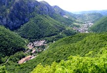 Mărci poștale cu exemplare din Parcul Natural Domogled-Valea Cernei