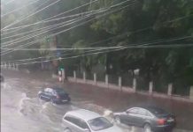 Arborii din preajma lucrărilor brâncușiene din Parcul Central, expertizați! Unul s-a rupt lângă Aleea Scaunelor