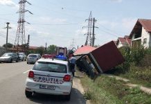 Șoferul unui TIR încărcat cu frigidere s-a răsturnat, după ce gorjeanul a fost înțepat de o albină