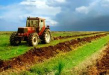 Contractele de finanțare pe PNDR, semnate la sediul OJFIR Gorj