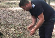 Proiectile din Primul Război Mondial, găsite la Lelești