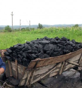 caruta-carbune-280x300