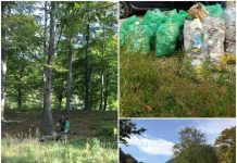 Defileul Jiului, curățat de gunoaie în cadrul proiectului Let`s do it, Romania!
