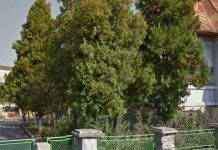 Grădinița ”Lumea Copiilor” din Târgu-Jiu angajează două îngrijitoare