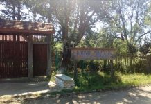 Ceremonie la Muzeul de la Măceșu, de Înălțarea Sfintei Cruci