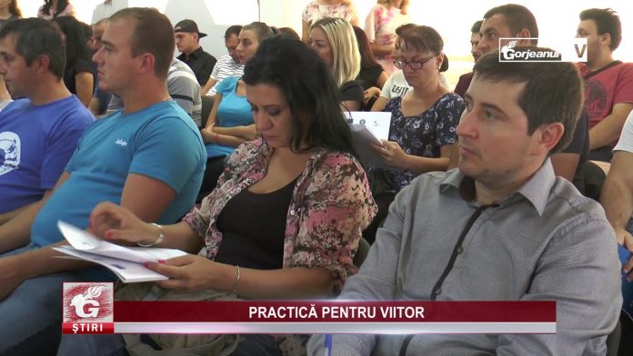 PRACTICĂ PENTRU VIITOR