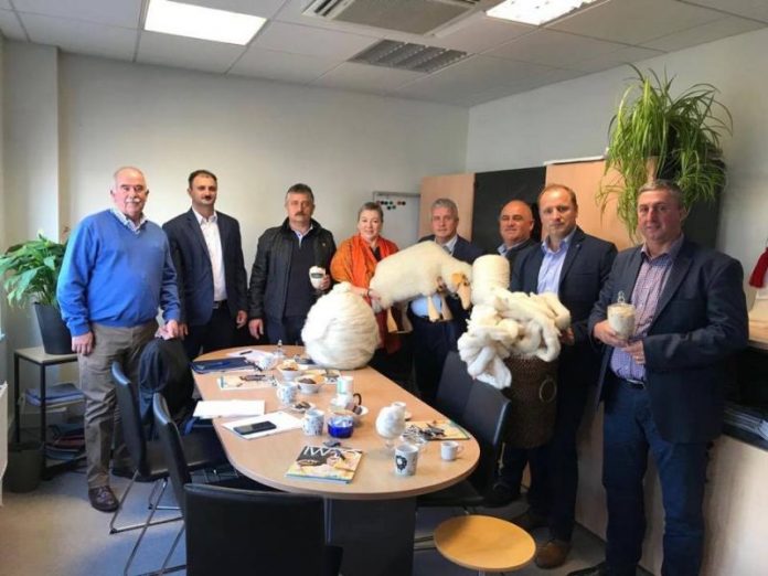 44675127_1367693763364532_4886395463869136896_n