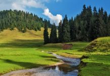 Săptămâna Ariilor Protejate, derulată și la Gorj