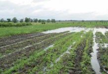 Protejarea culturilor la excesul de umiditate din toamnă