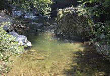 ANAR face investiţii de 450.000 de lei în Gorj