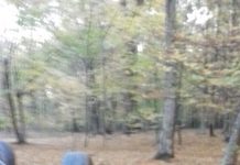 FOTO: Accident spectaculos la Novaci