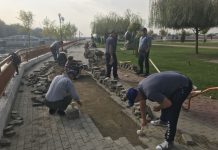 Alee distrusă pe Insuliță, război între primar și viceprimar