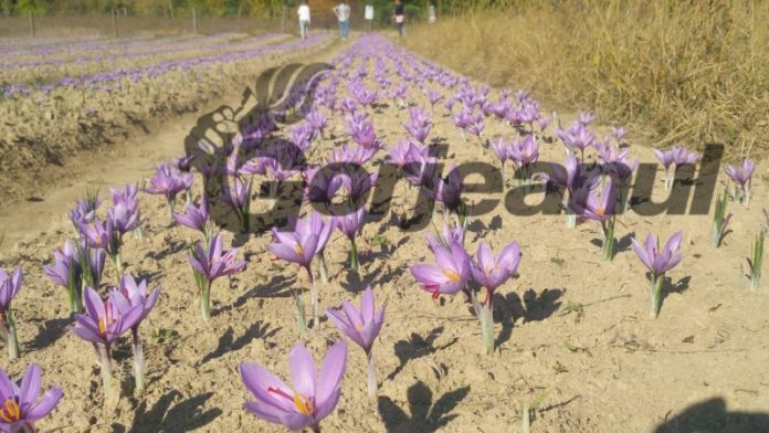 PHOTO-2018-10-09-16-18-30