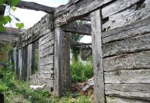 Ministrul Culturii, despre prăbușirea casei în care s-a născut Brâncuși