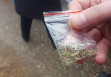 Student la Teologie, prins cu etnobotanice la Târgu-Jiu