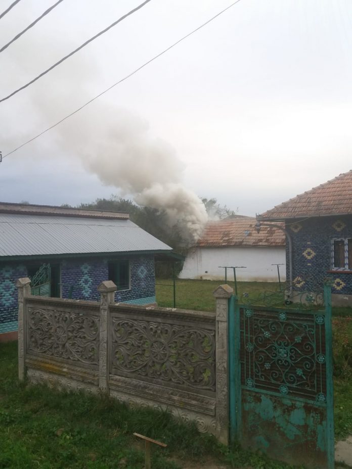 incendiu godinesti (3)