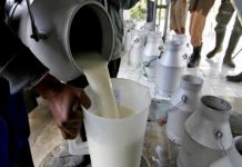 Centre de prelucrare a laptelui din Stăneşti şi Baia de Fier, închise de DSVSA