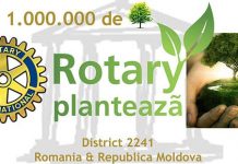 Rotary plantează 200 de arbori la Bârsești